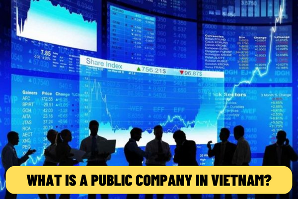 What is a public company in Vietnam? What is included in the application for public company registration in Vietnam?