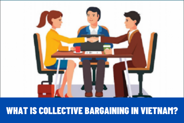 What is collective bargaining in Vietnam? Who is the composition of the collective bargaining council in Vietnam?