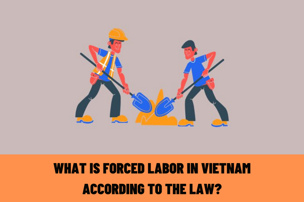 What is forced labor in Vietnam according to the law? Is forced labor liable to criminal prosecution in Vietnam?