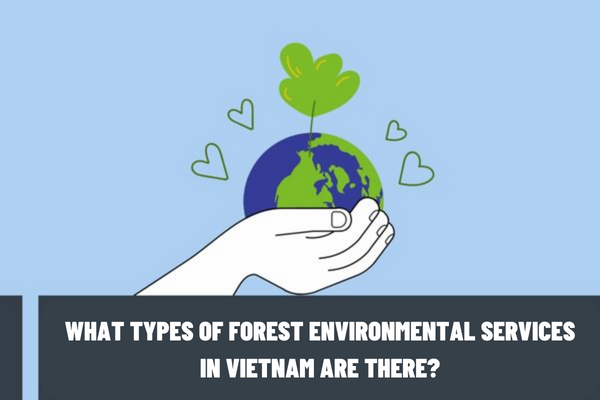 What types of forest environmental services in Vietnam are there? What are the criteria for the forest eligible for forest environmental service payment?