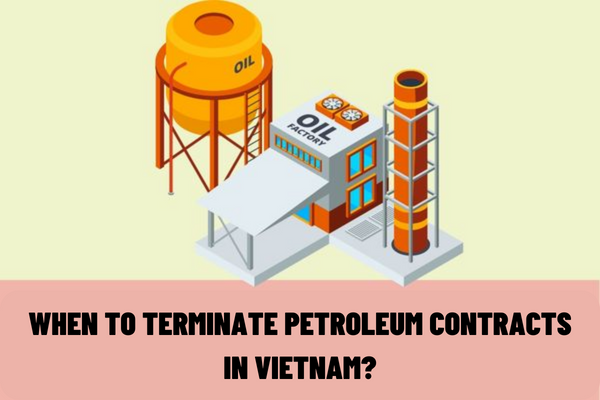 When to terminate petroleum contracts in Vietnam? In what cases must the contracting parties temporarily relinquish exercise of several rights and obligations mentioned in the petroleum contract?