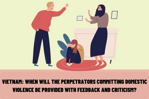 Vietnam: When will the perpetrators committing domestic violence be provided with feedback and criticism? Who will participate in providing feedback and criticism for perpetrators?