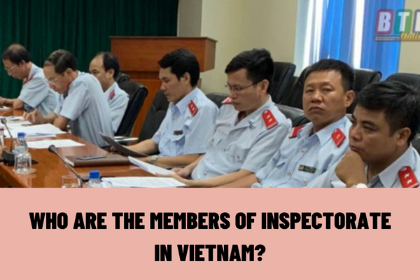 Who are the members of inspectorate in Vietnam? What are the tasks and powers of the chief and members of inspectorate?