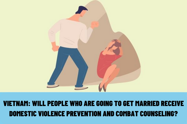 Will people who are going to get married receive domestic violence prevention and combat counseling? What forms of communication are there to prevent and combat domestic violence in Vietnam?