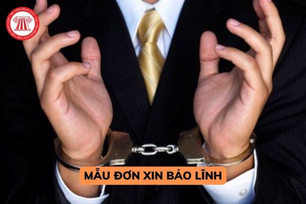 Mẫu đơn xin bảo lĩnh cho bị can, bị cáo được tại ngoại? Hồ sơ đề nghị xét phê chuẩn quyết định bảo lĩnh gồm những gì? 