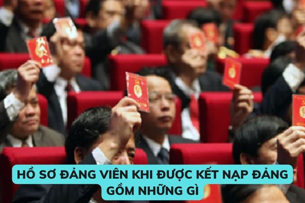 Pháp luật