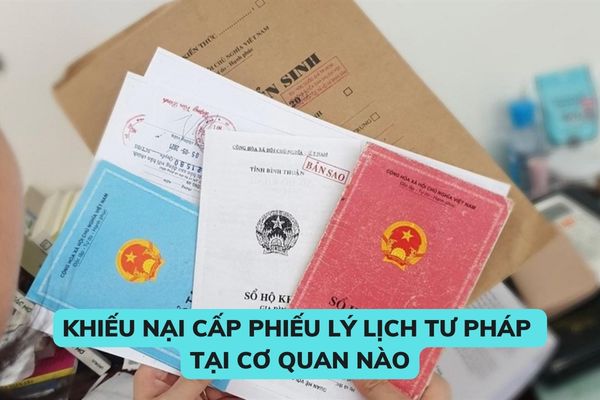 Pháp luật