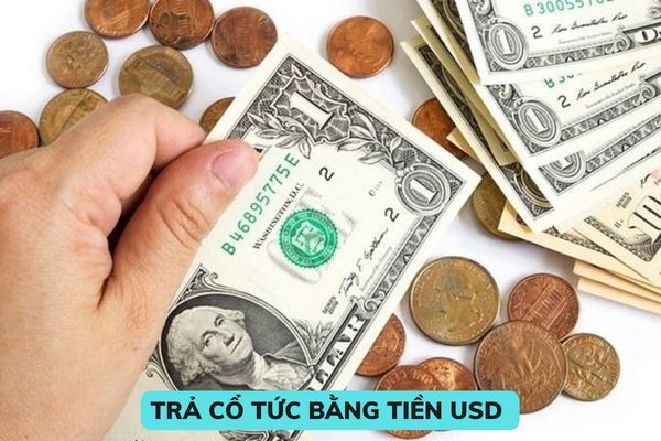 Hãy xem hình ảnh liên quan đến cổ tức USD để biết thêm về các khoản thu nhập dài hạn mà bạn có thể nhận được. Đây là một cơ hội tuyệt vời để tăng thu nhập của bạn và đẩy mạnh các kế hoạch tài chính của mình.