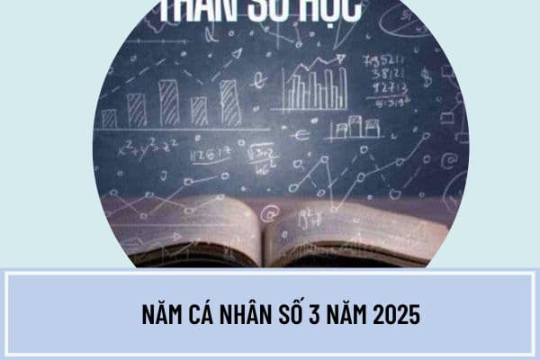 Năm cá nhân số 3 năm 2025 có ý nghĩa gì? Năm 2025 là năm thế giới số mấy? Cách tính năm cá nhân 2025 theo thần số học chi tiết?