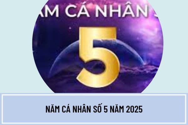 Năm cá nhân số 5 năm 2025 có ý nghĩa gì? Cách tính năm cá nhân 2025 theo thần số học chi tiết?