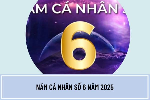 Năm cá nhân số 6 năm 2025 có ý nghĩa gì? Năm 2025 là năm thế giới số mấy? 