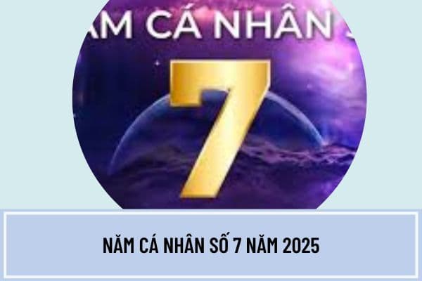 Năm cá nhân số 7 năm 2025 có ý nghĩa gì?