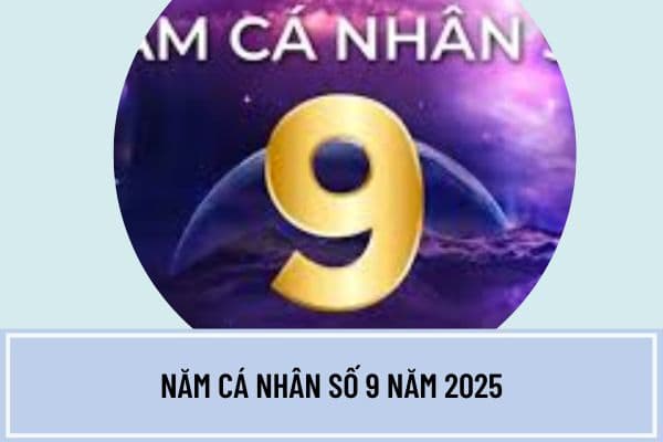 Năm cá nhân số 9 năm 2025 có ý nghĩa gì? Cách tính năm cá nhân 2025 theo thần số học chi tiết?