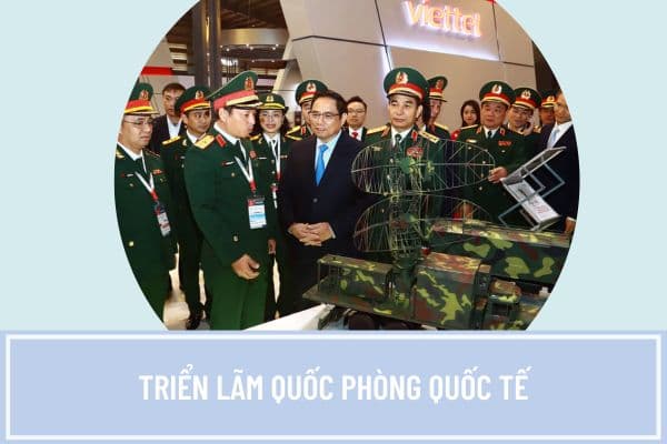 Pháp luật