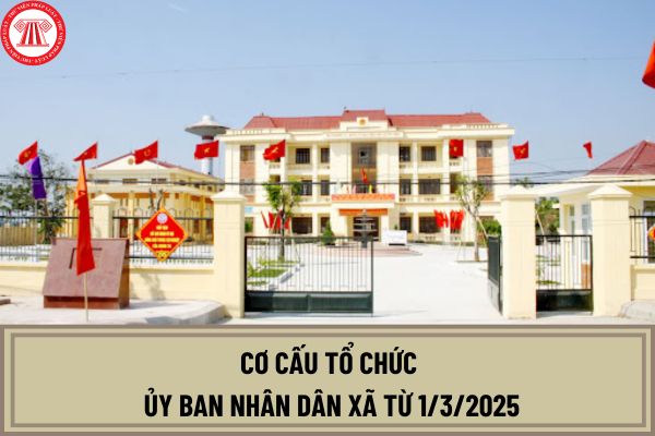 Cơ cấu tổ chức Ủy ban nhân dân xã từ 1/3/2025? Quy định về giao quyền Chủ tịch Ủy ban nhân dân?