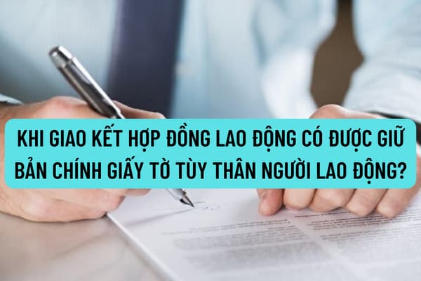 Pháp luật