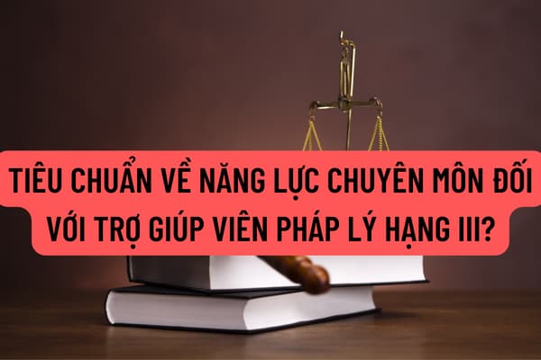 Pháp luật