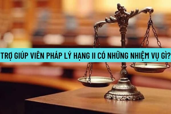 Pháp luật