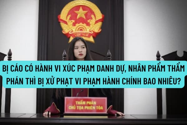 Pháp luật