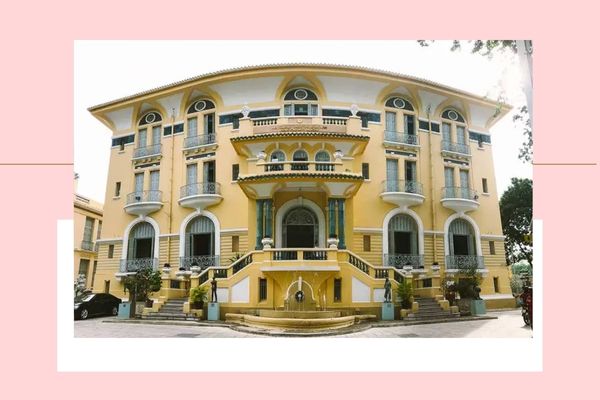Pháp luật