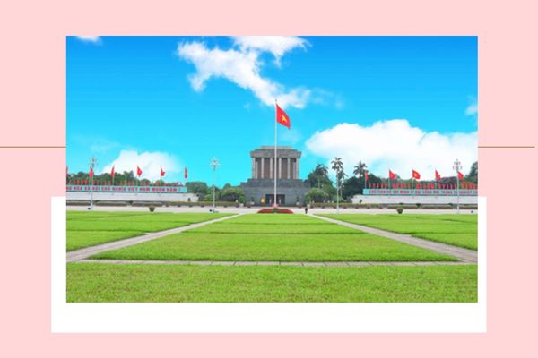 Pháp luật