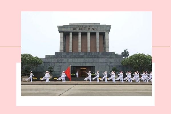 Pháp luật