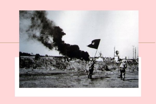 Pháp luật