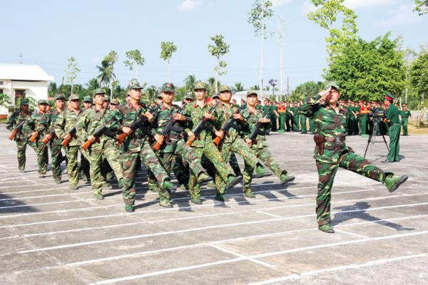 Pháp luật