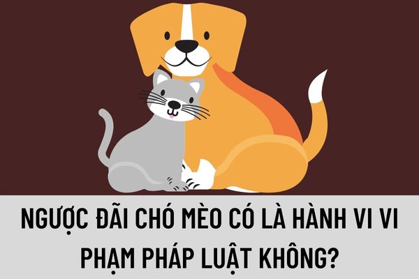 Pháp luật