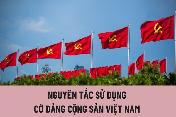 Lá cờ đảng - Iconic and powerful symbol of a great political party in Vietnam, conveying unity and solidarity among Vietnamese people. The flag not only displays patriotism but also carries the uniqueness of each Vietnamese. Check out the related images to discover more about the significance of the flag.