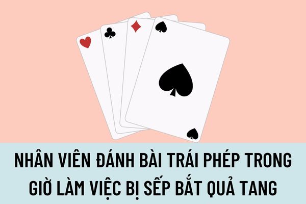 Pháp luật