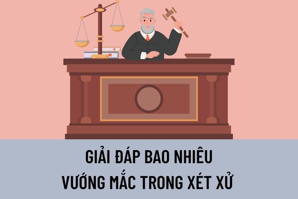 Pháp luật