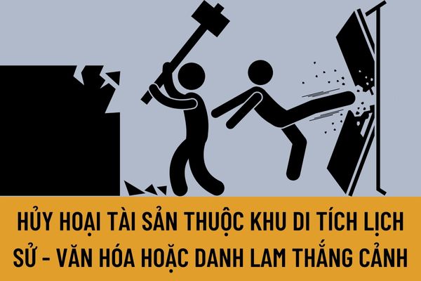 Pháp luật