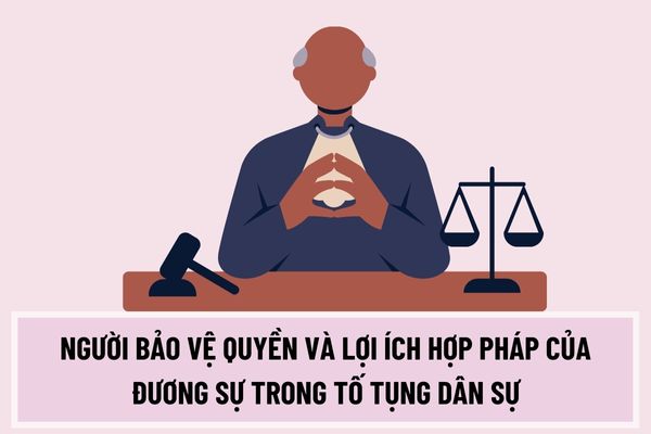 Pháp luật