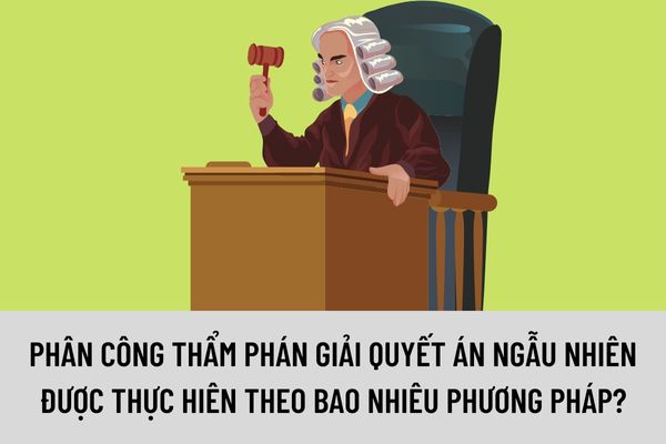 Pháp luật