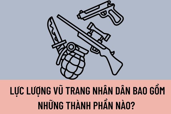 Pháp luật