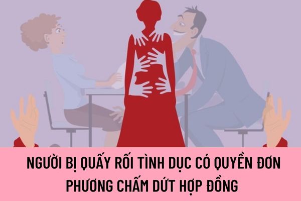 Pháp luật