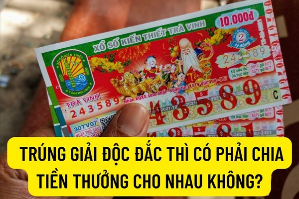 Pháp luật