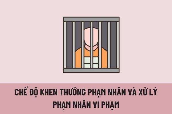 Pháp luật