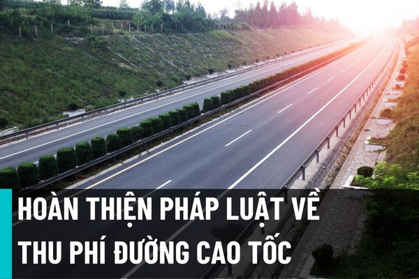 Pháp luật