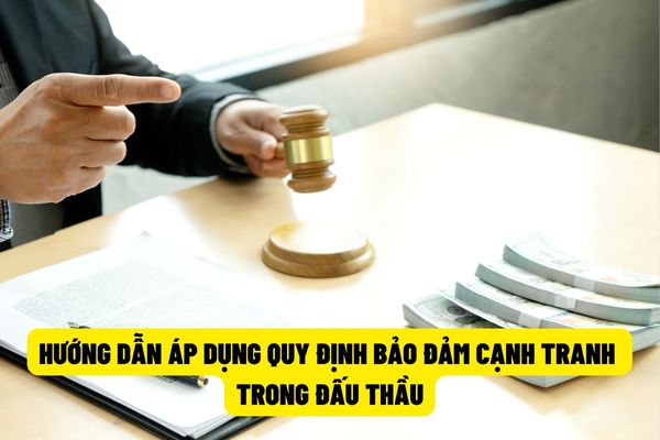 Pháp luật