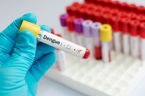 Dấu hiệu cảnh báo bệnh sốt xuất huyết là gì? Điều trị sốt xuất huyết Dengue có dấu hiệu cảnh báo như thế nào?