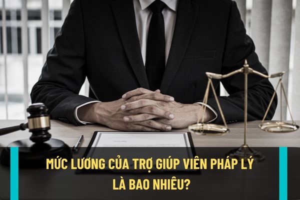 Pháp luật