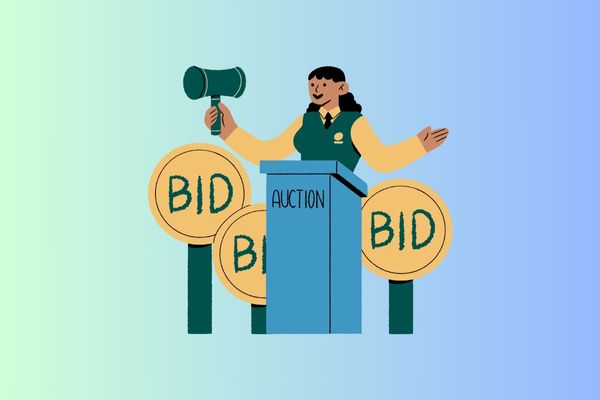 Which assets are required to be auctioned from January 1, 2025, according to the Amendment of the Law on Property Auction 2024?