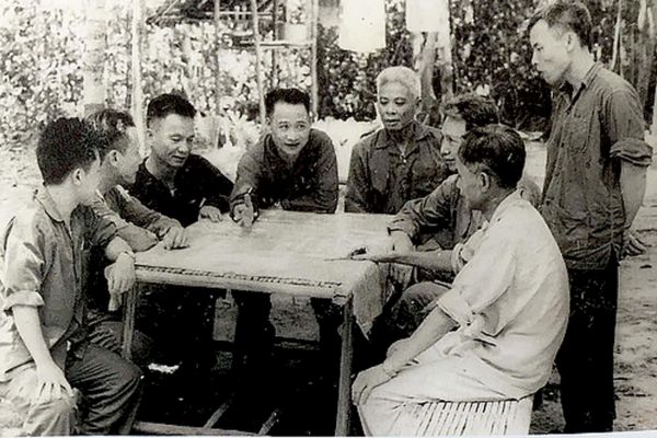 Pháp luật