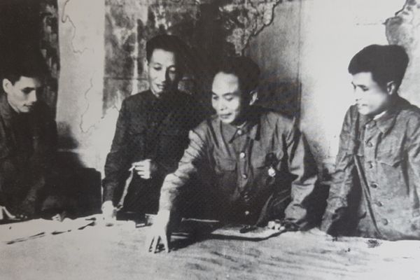 Pháp luật