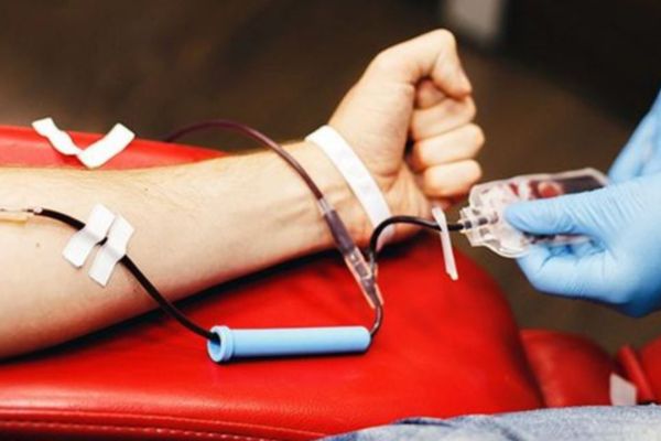 Ngày toàn dân hiến máu tình nguyện là ngày gì? Người tham gia hiến máu tình nguyện phải đáp ứng những điều kiện gì?