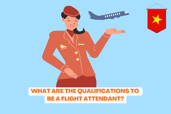 Vietnam: What are the qualifications to be a flight attendant? How tall is it to be a flight attendant? 