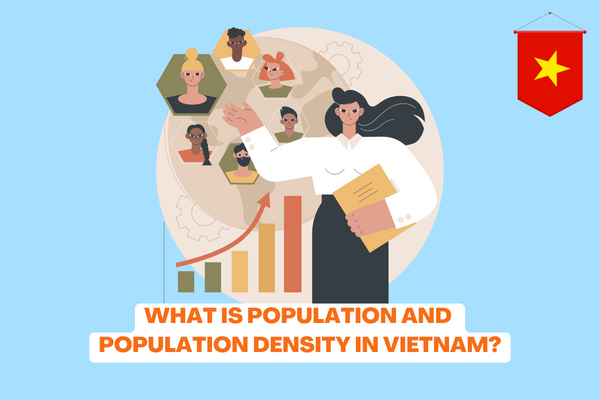 Vietnam: What is population and population density? What are the regulations for subdivisions of population indicators when performing statistical work in the locality? 