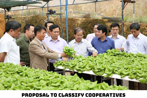 Vietnam: What is the proposal to classify cooperatives by micro, small ...